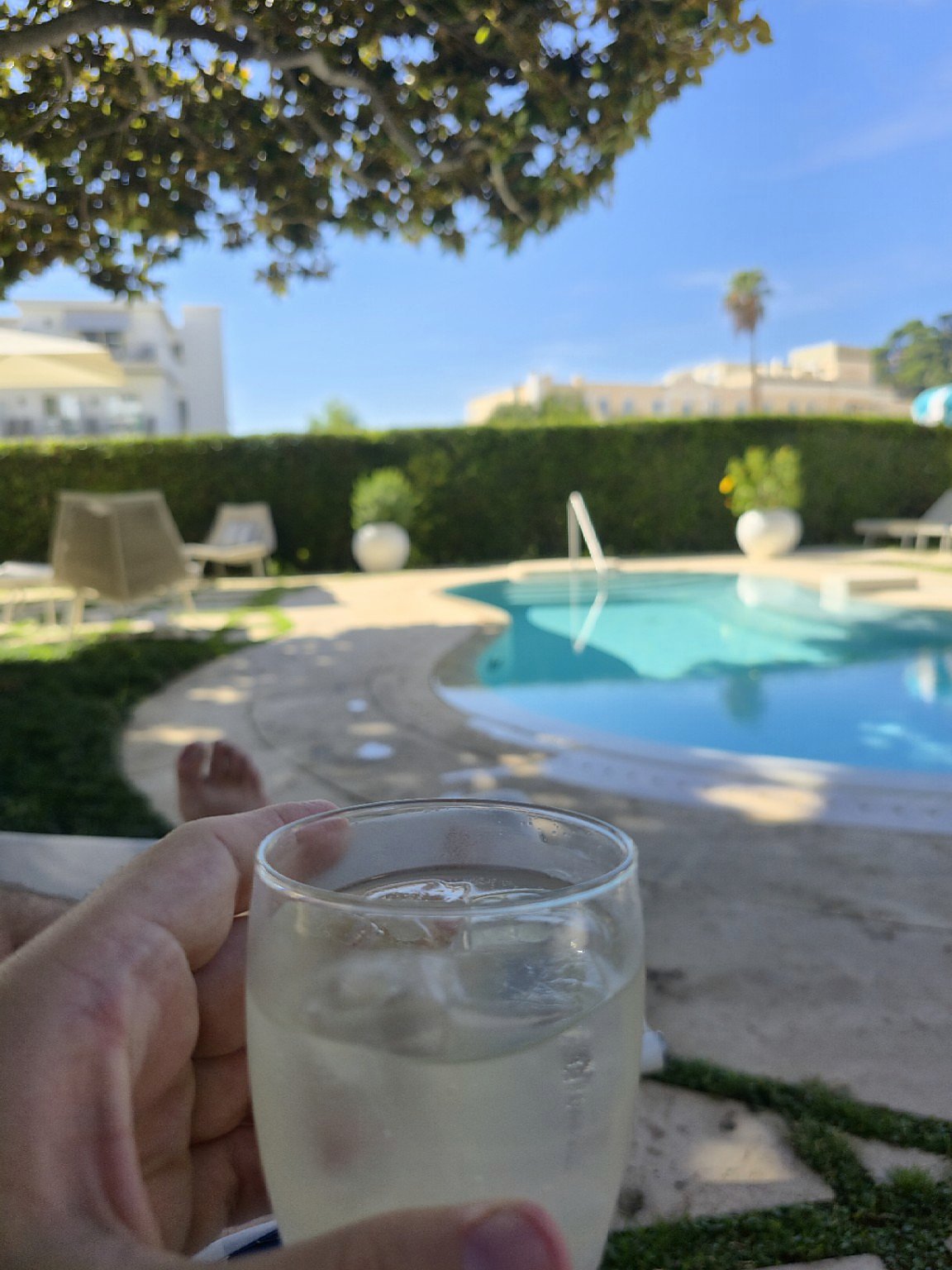 Lemonade beside the pool at Pazziella Capri beneath the magnolia tree