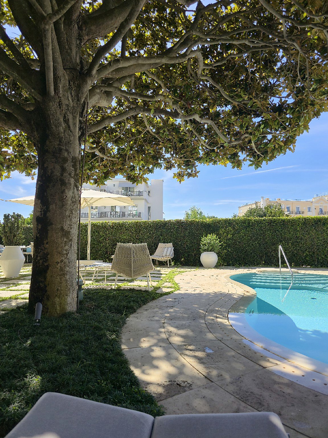 The pool at Pazziella Capri beneath its large magnolia tree