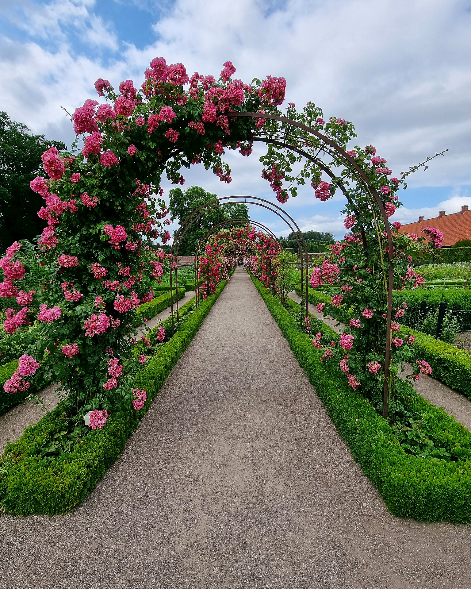 Rose arches in the private gardens of Fredensborg Palace