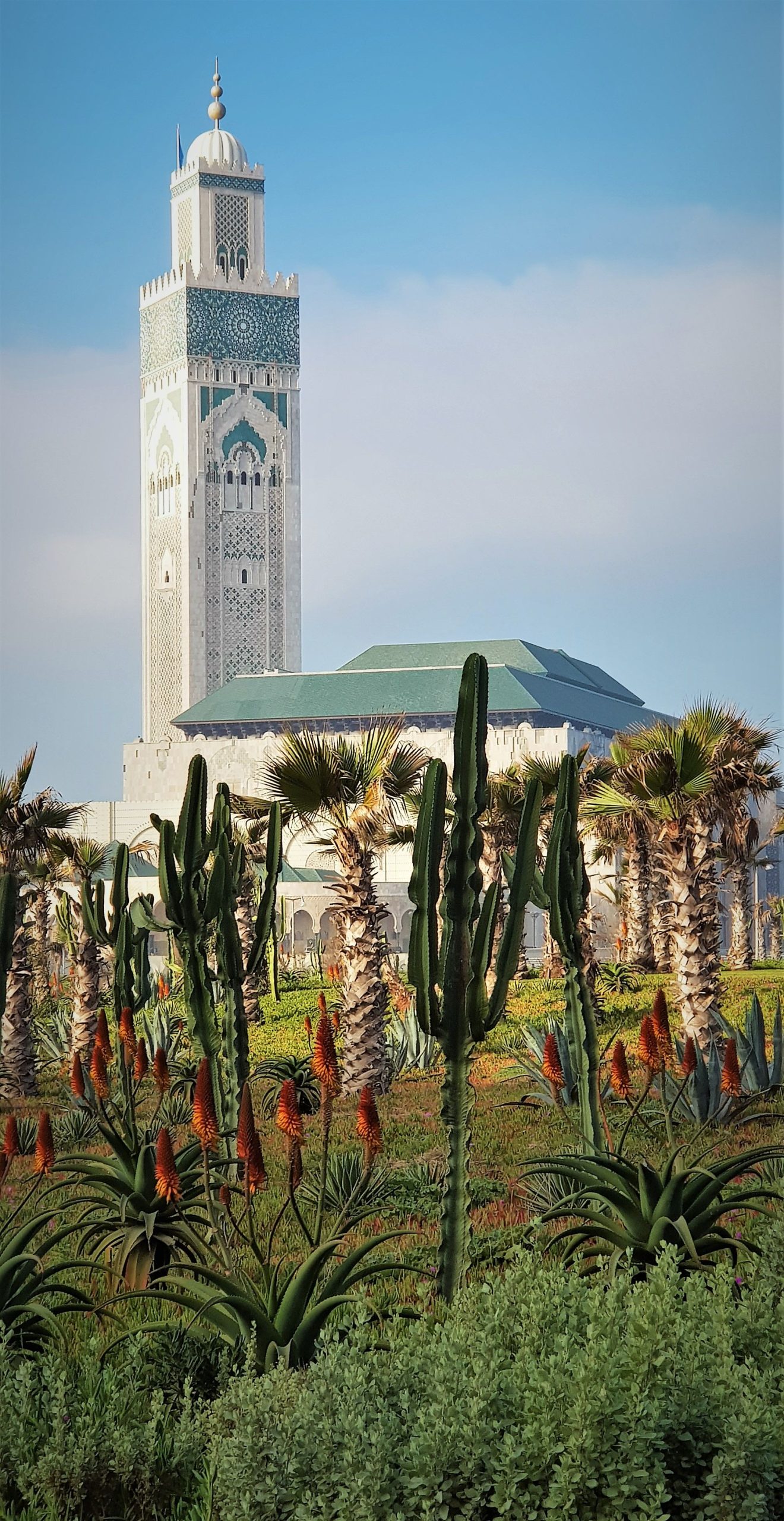 Hassan II Mosque in Casablanca framed by palms and cacti