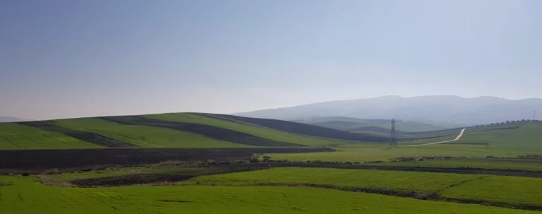 Green fields and rolling hills near Moulay Idriss, Morocco.