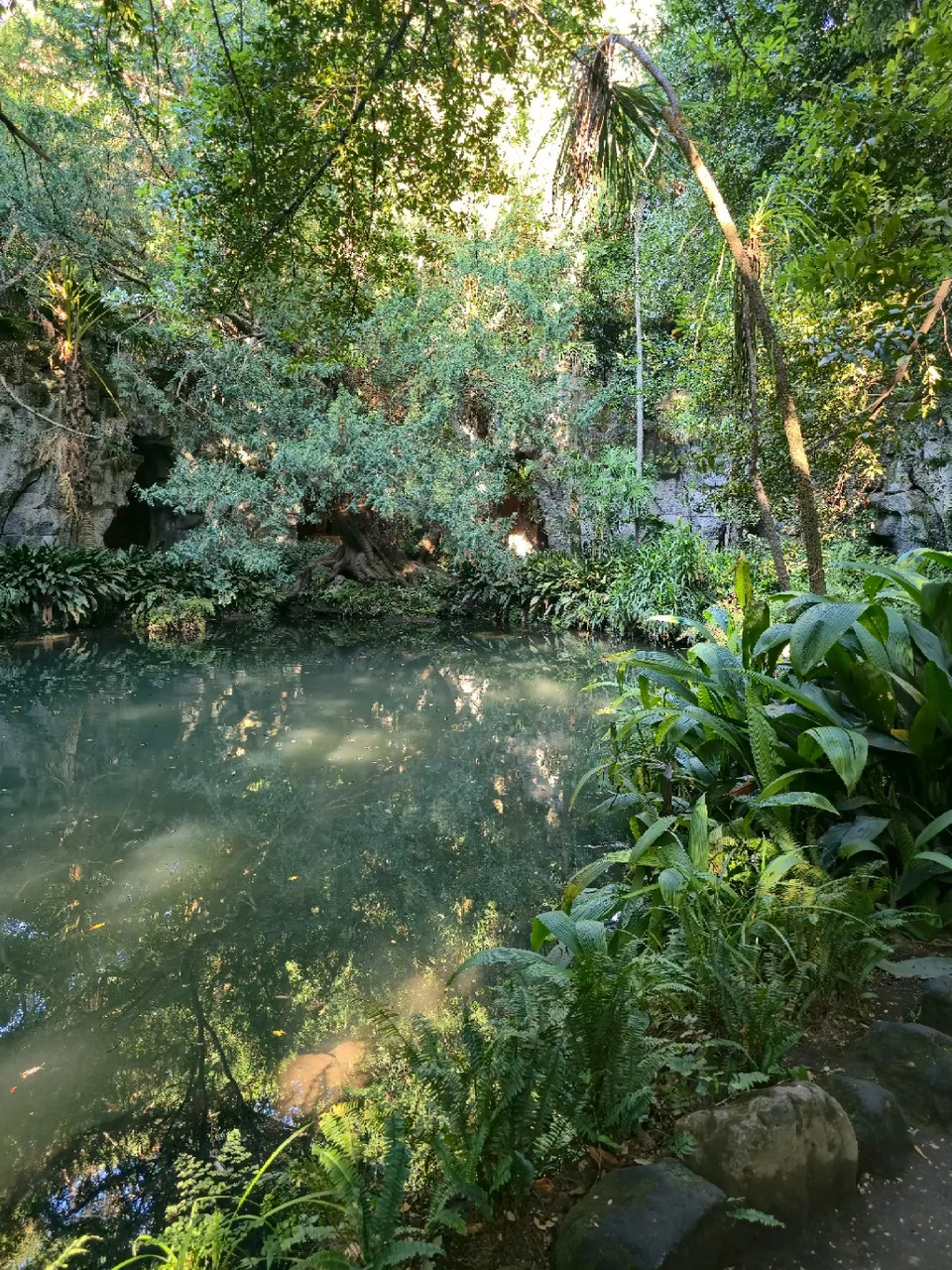 Still greenish water of the Bagno di Venere, rocks and dense greenery in the English Garden of the Reggia di Caserta.