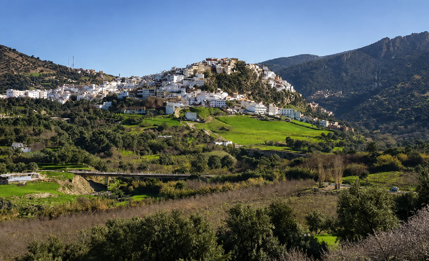 Moulay Idriss on green Moroccan hills.