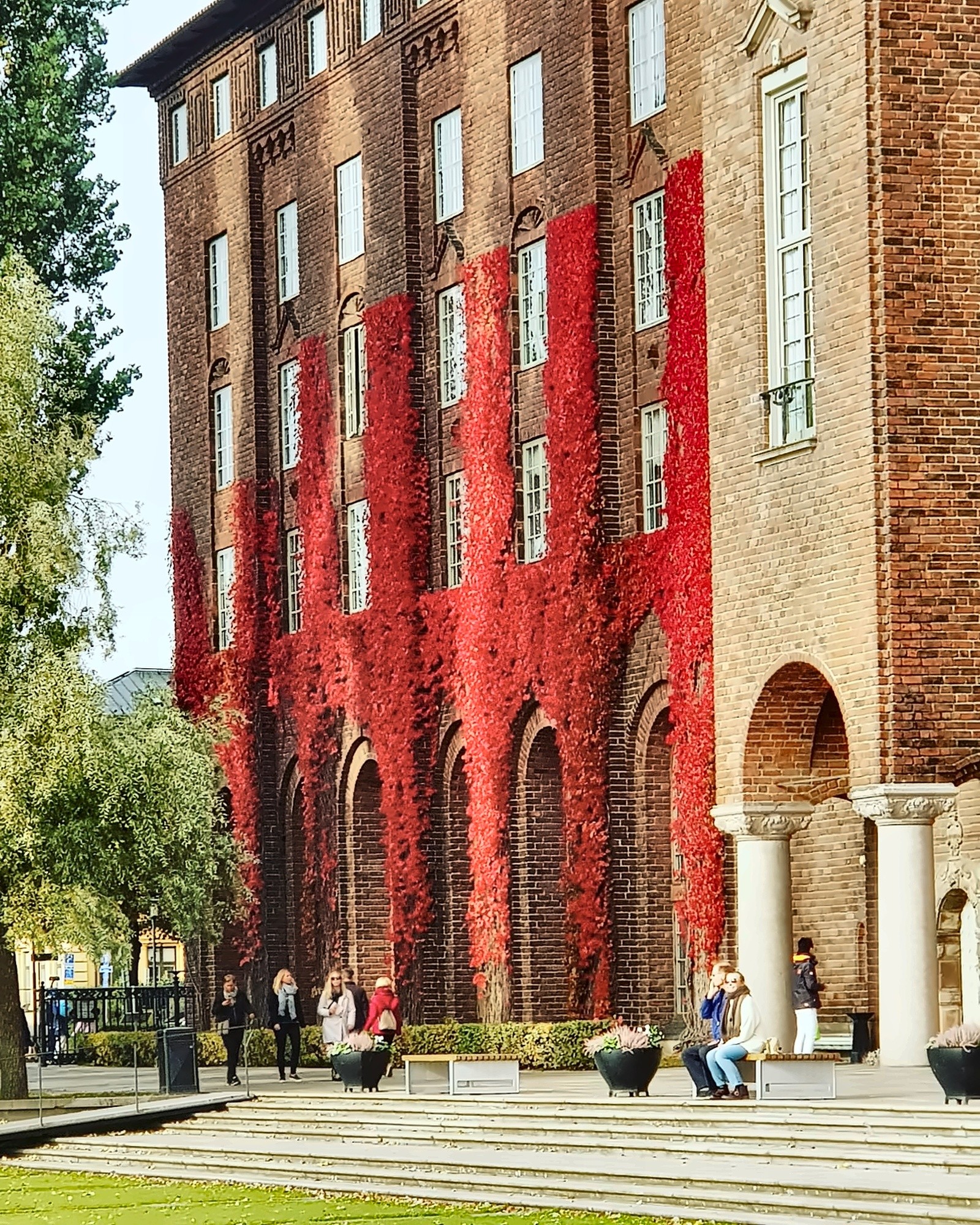 Red autumn ivy on Stockholm City Hall