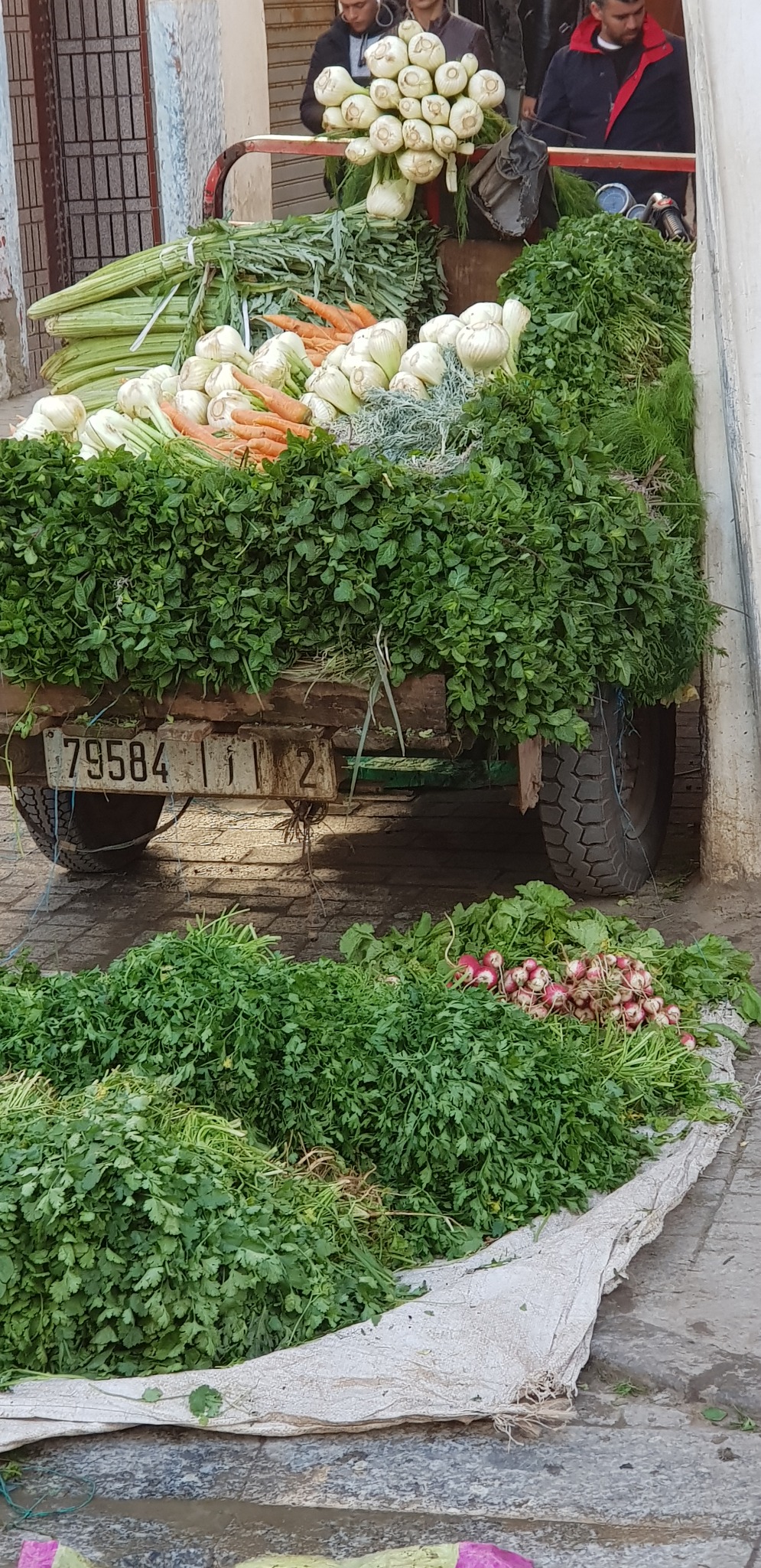 Prizor s tržnice u Rabatu u Maroku