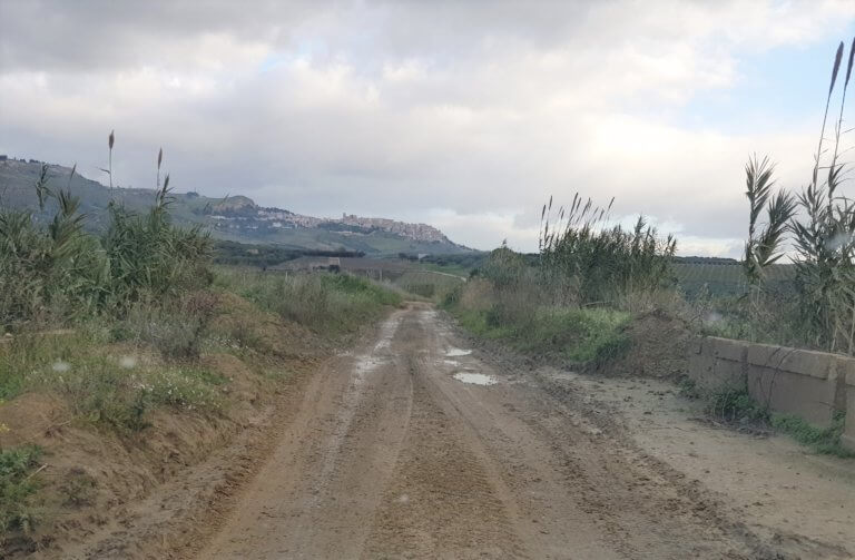 Uska cesta između visokog kukuruza na putu prema Salemiju