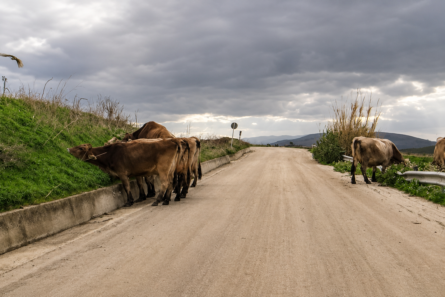 Usamljena cesta kroz unutrašnjost Sicilije na putu prema Corleoneu