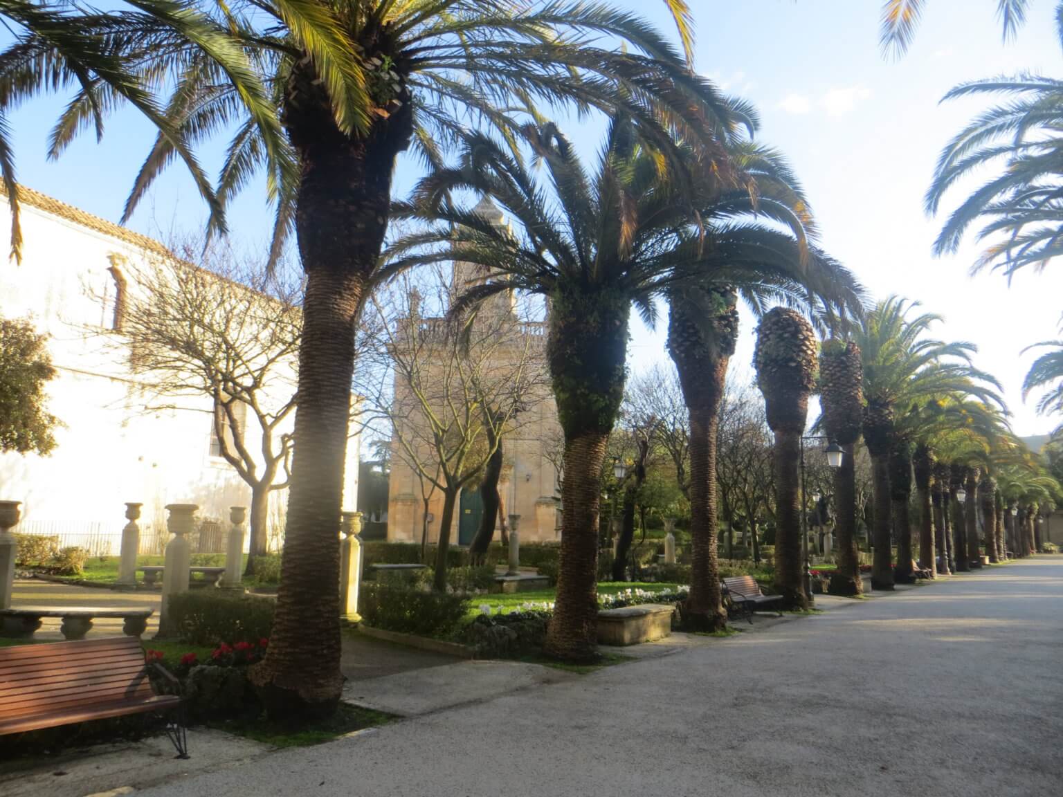 Palme i staze u parku Giardino Ibleo u Ragusi